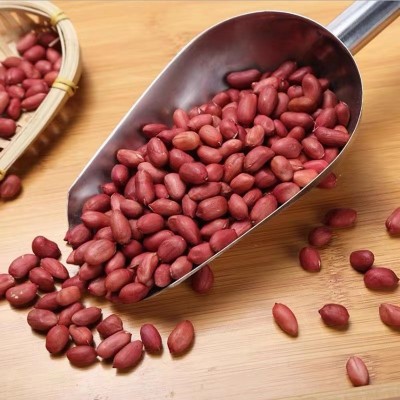 现磨五谷杂粮豆浆粉专用原料 厂家供应红皮花生 低温烘培熟花生米图3