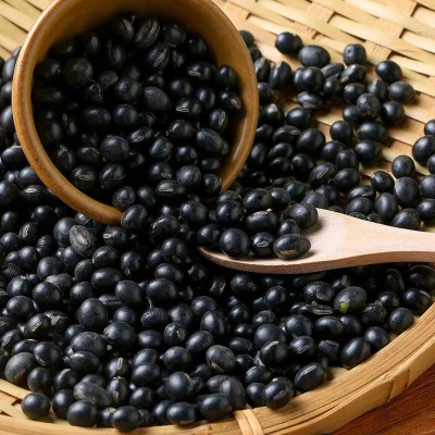 低温烘焙熟五谷杂粮磨粉原料 豆浆原料熟绿芯黑豆 厂家批黑豆图2