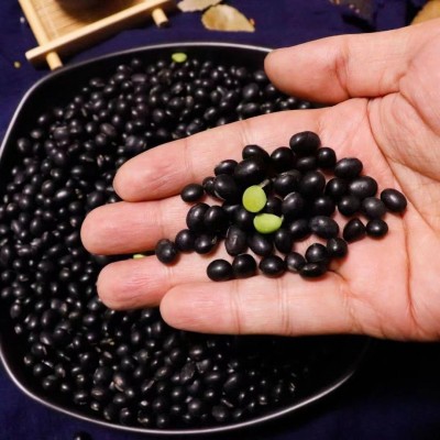 低温烘焙熟五谷杂粮磨粉原料 豆浆原料熟绿芯黑豆 厂家批黑豆图4