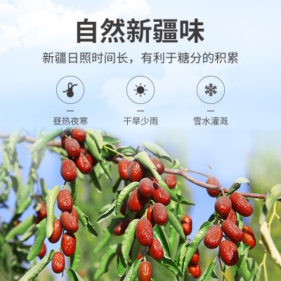 方家铺子厂家四星灰枣500g袋装大红枣休闲零食可一件代发批发图3