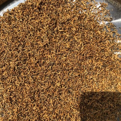 春茶广西三江小种红茶金骏眉蜜香茶叶奶茶店专用厂价直销图3