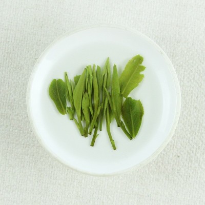 雅益闲 新茶雀舌 四川雅安高山茶 性价比温性绿茶500g图5