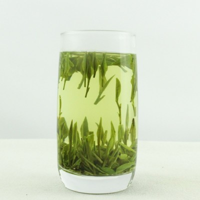 雅益闲 新茶雀舌 四川雅安高山茶 性价比温性绿茶500g图4