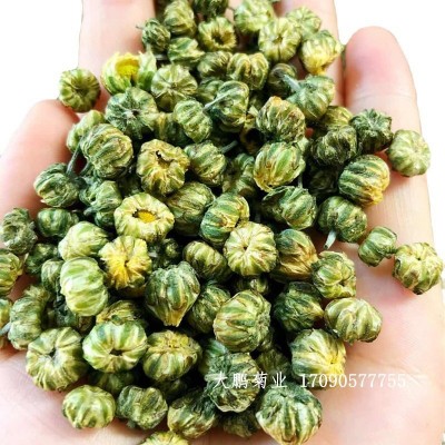 胎菊米苏北菊米中晚菊米北京菊米胎菊小菊花茶图5