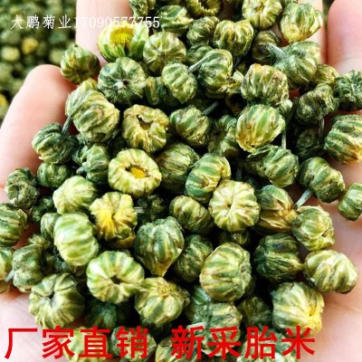 胎菊米苏北菊米中晚菊米北京菊米胎菊小菊花茶图3