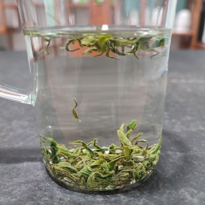新茶雨前高山春茶毛尖大别山地区土茶湖北绿茶云雾茶散装批发图3