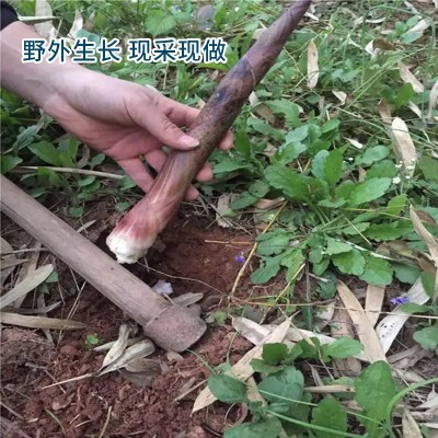 安徽绩溪燕笋干货黄山特产新货嫩笋尖盐笋扁尖笋农家食材自制批发图4