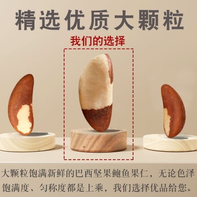 鲍鱼果仁500g巴西坚果沙漠果干果零食工厂批发直销图3