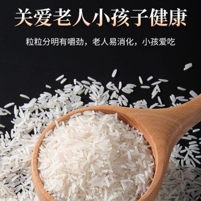米乡情长粒猫牙米10斤真空装新米细长粒煲仔饭 蛋炒饭 丝苗牙米批图3