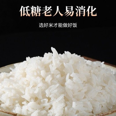 米乡情长粒猫牙米10斤真空装新米细长粒煲仔饭 蛋炒饭 丝苗牙米批图4