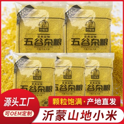 沂蒙小黄米优质小黄米养胃小米粥黄小米五谷杂粮粗粮黄小米农家小
