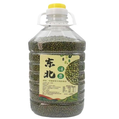 桶装5斤东北绿豆农家新豆解暑绿豆汤粥糕原料可发豆芽五谷杂粮图5