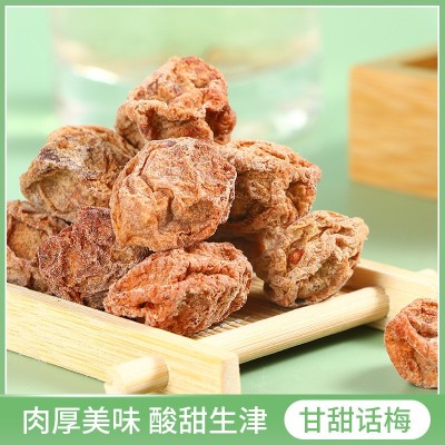 潮汕特产甘甜九制话梅酸甜话梅肉 咸话梅可泡水盐津话梅果脯散装图2
