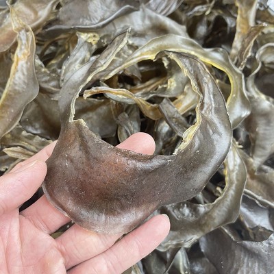 海味干货 清水甲鱼裙边 水鱼裙边 甲鱼边龟板胶干货批发500g图2