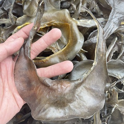 海味干货 清水甲鱼裙边 水鱼裙边 甲鱼边龟板胶干货批发500g图1