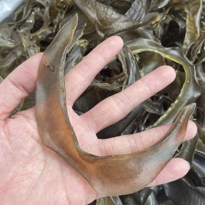 海味干货 清水甲鱼裙边 水鱼裙边 甲鱼边龟板胶干货批发500g图3