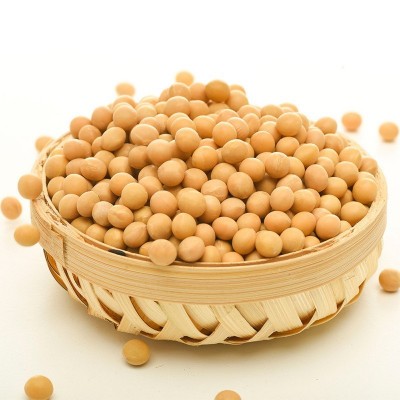 东北黄豆农家地种植现货批发豆粉末原料真空包装现货厂家直销图3