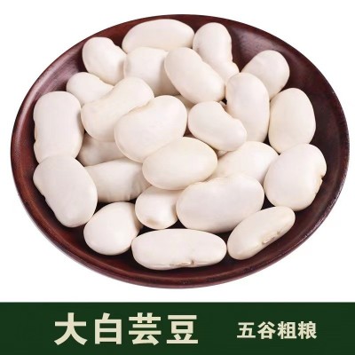 白芸豆农家自产无添加剂中白豆肾腰豆五谷杂粮500g中雪豆粗粮现货图3