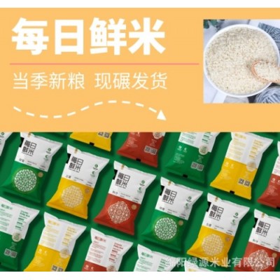【过节福利】大米礼盒现碾大米300g*12袋节日福利礼品新米胚芽米图5