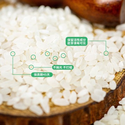 【过节福利】大米礼盒现碾大米300g*12袋节日福利礼品新米胚芽米图4