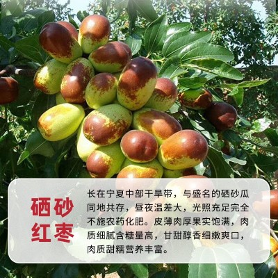 宁夏硒砂红枣特级哒枣子富硒食品一级大枣袋装整箱批发一件代发图2