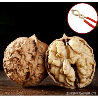 云南大麻果薄皮核桃原味散装批发 特产皮薄肉厚500g大麻子核桃图4