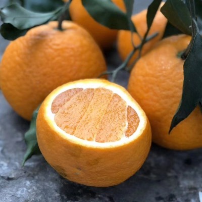 湖北夏橙新鲜水果5斤包邮橘子橙子图4