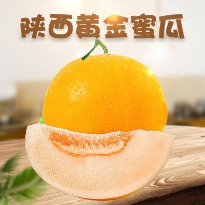 陕西黄金蜜瓜4.5-5斤包邮新鲜水果图2