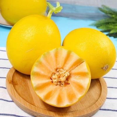 陕西黄金蜜瓜4.5-5斤包邮新鲜水果图4