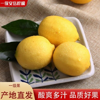 四川安岳黄柠檬尤力克新鲜当季柠檬500g批发饮品店专用一件代发图1