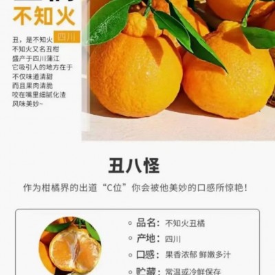 正宗四川丑橘不知火图5