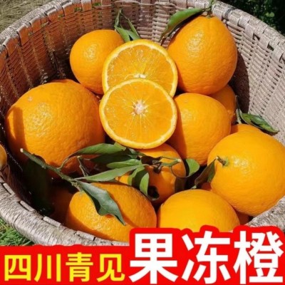 四川眉山青见果冻橙图2
