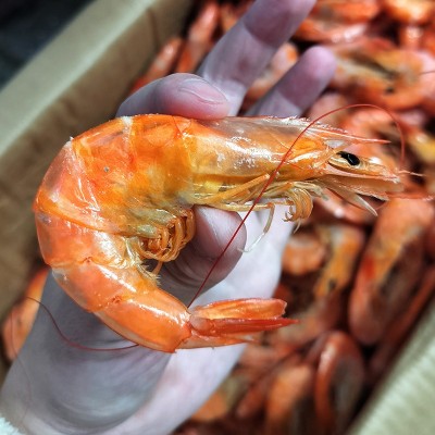 淡干大号虾仁袋装即食海鲜干货零食虾米干去皮海虾虾仁干厂家批发图4