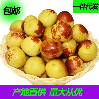 沾化冬枣山东鲜枣新鲜水果脆甜无渣个大皮薄 量大从优一件代发图2
