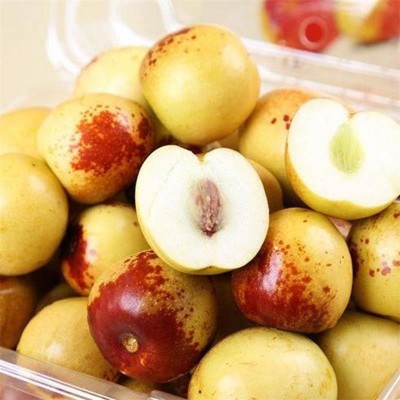 沾化冬枣 皮薄肉厚 脆甜无渣新鲜水果 山东大枣 一件代发量大从优图2
