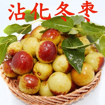 沾化冬枣 皮薄肉厚 脆甜无渣新鲜水果 山东大枣 一件代发量大从优图1
