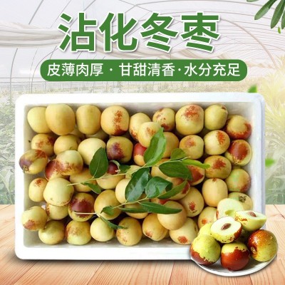 支持批发沾化冬枣非大荔 山东鲜枣大枣脆甜无渣 一件代发新鲜水果图1