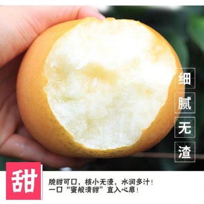 丰水梨皇冠脆梨高山亚丽雪梨翠冠梨秋月梨脆甜汁水超多冰糖梨图2