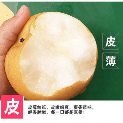 丰水梨皇冠脆梨高山亚丽雪梨翠冠梨秋月梨脆甜汁水超多冰糖梨图4