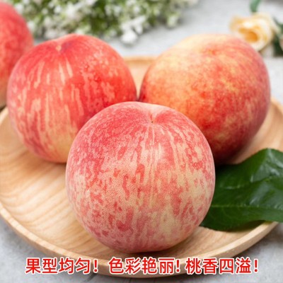 顺丰空运龙泉水蜜桃四川桃子5斤礼盒电商代发新鲜水果脆桃蜜图2
