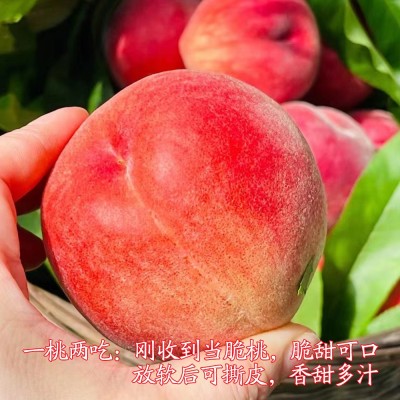 顺丰空运龙泉水蜜桃四川桃子5斤礼盒电商代发新鲜水果脆桃蜜图3