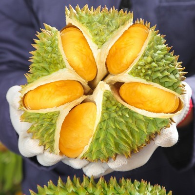 现货泰国金枕榴莲整果新鲜水果榴莲肉整箱金枕源头一件代发批发图2