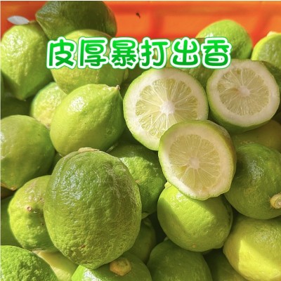 奶茶店专用广东香水柠檬手打柠檬无籽青柠檬产地新鲜皮厚一级果图2