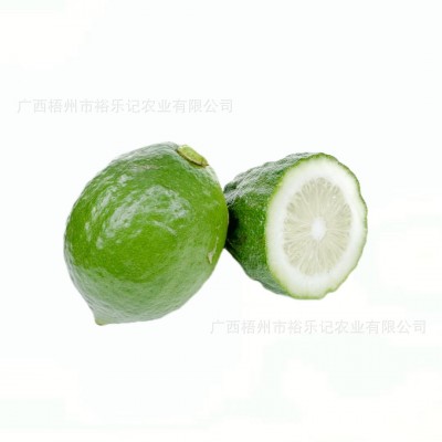 奶茶店专用广东香水柠檬手打柠檬无籽青柠檬产地新鲜皮厚一级果图4