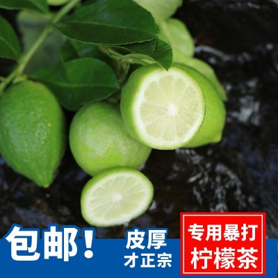 奶茶店专用广东香水柠檬手打柠檬无籽青柠檬产地新鲜皮厚一级果图3