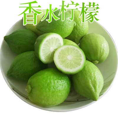 广东香水柠檬奶茶店专用手打柠檬无籽青柠檬新鲜皮厚一级果图2
