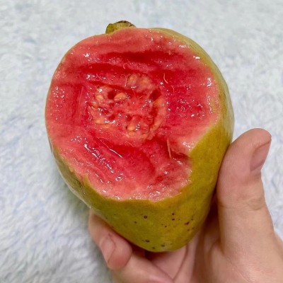 【优质鲜果】软心芭乐番石榴水果新鲜应季水果批发芭乐果红心图3