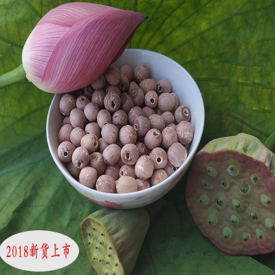 白木耳银耳碎银耳雪耳百合干莲子去心湘莲子白莲子有心红莲子干货图4