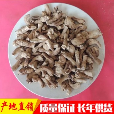 香菇脚产地直销脱水香菇脚过筛磨单剪菇脚1.3公分图5