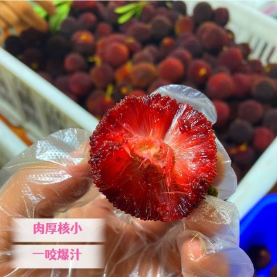 新鲜杨梅正宗浙江仙居东魁杨梅鲜果现摘现发当季时令孕妇水果图3